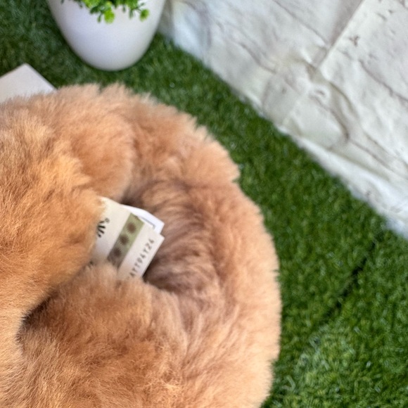 UGG Classic Short Shine Boots Beachwood Twinface Sheepskin
Water-resistant Sz 5 - Picture 8 of 14